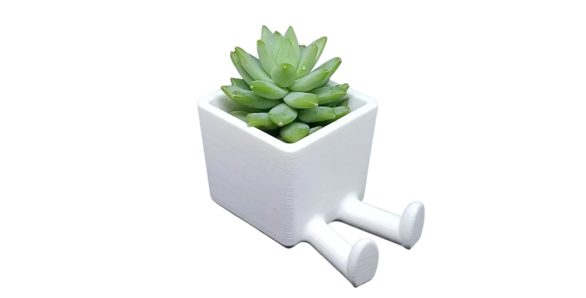 Succulent Planter / 3D printed planter / Legged Planter