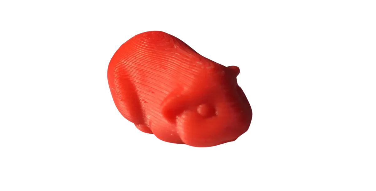 Guinea Pig V.2
