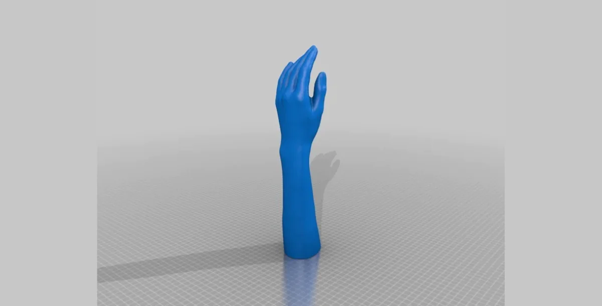 Scans de mains