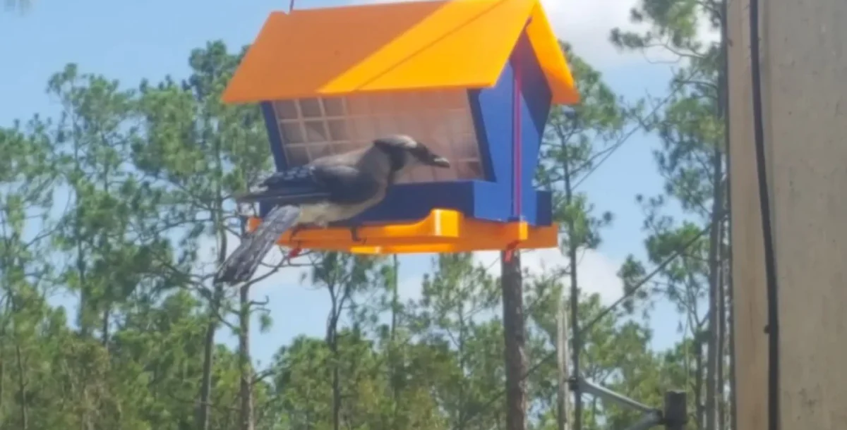 Classic Bird Feeder
